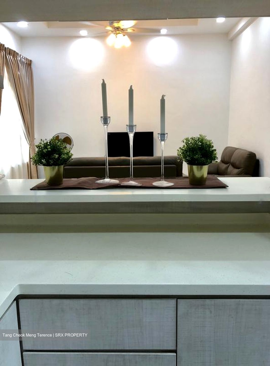Azalea Park Condominium (D17), Condominium #483724171